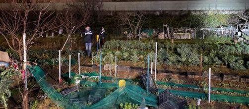 Firenze, il giallo di tre valigie trovate in un campo tra il carcere e la superstrada: contenevano i resti di un uomo e di una donna.