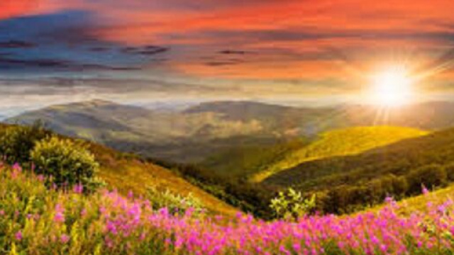 Oroscopo di domani, 17 dicembre: cautela per Toro, miglioramenti per Ariete.