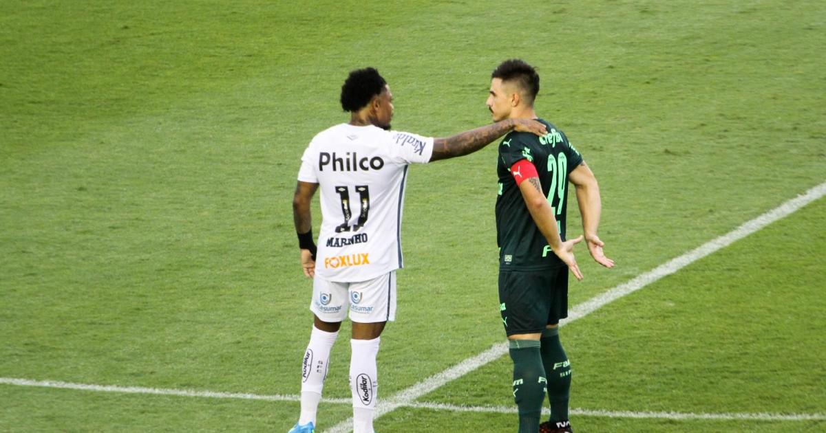 5 destaques envolvendo Santos e Palmeiras na reta final da ...