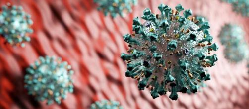 Como melhorar a imunidade em tempos de coronavírus. (Arquivo Blasting News)