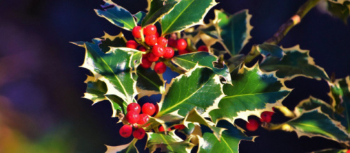 L'oroscopo del 25 dicembre: a Natale splendono Sagittario e Capricorno (2^ metà).