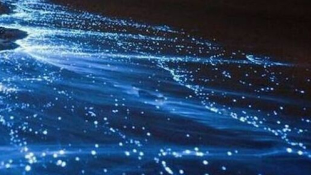 Previsioni zodiacali del 21 dicembre: Vergine vivace, amore per Pesci.