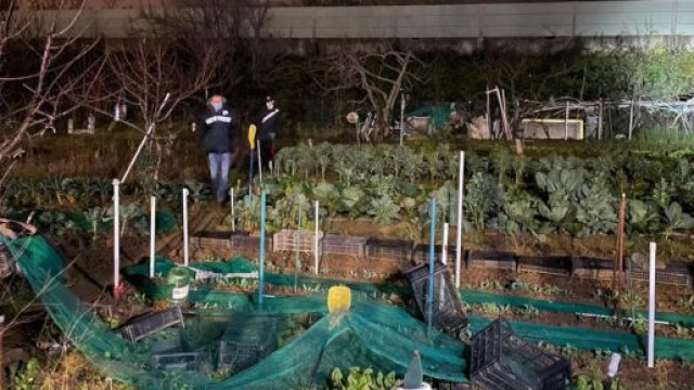 Firenze, corpi dei coniugi nelle valigie: fermata l'ex compagna del figlio.