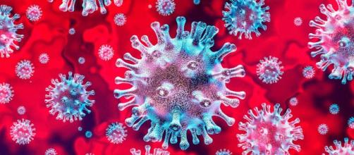 Descubren otra nueva cepa del virus aún más contagiosa