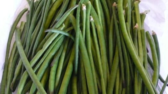 Fagiolini freschi per realizzare la vellutata di fagiolini, patate e curcuma.