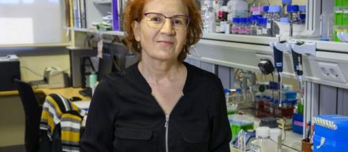 Margarita del Val frena el optimismo sobre el virus
