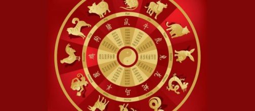 O horóscopo Chinês tem previsões através de animais. (Foto: Pexels)