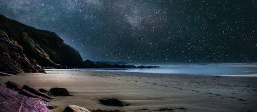 Previsioni zodiacali del 5 dicembre: Toro innamorato, Leone indipendente.
