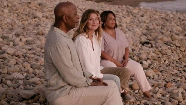 Chandra Wilson ha lasciato intendere che la stagione 17 di Grey's Anatomy potrebbe non essere l'ultima.