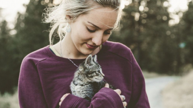 Quels sont les bienfaits d'avoir un chat à la maison ? - Photo Pexels