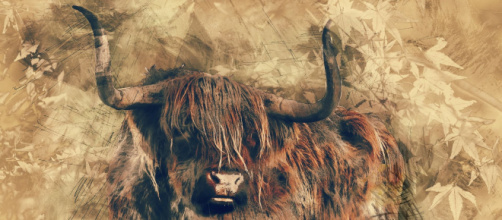 Oroscopo del 2021 per il Toro: voglia di consolidare il legame sentimentale.