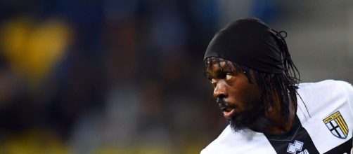 Parma-Gervinho, si va verso la pace