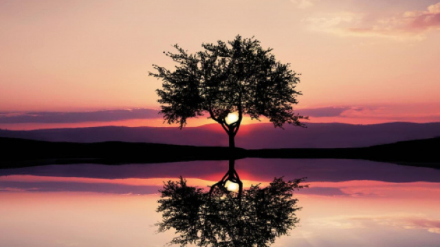 Oroscopo del giorno 18 febbraio 2020 Astrologia, classifica stelline e previsioni per gli ultimi sei segni dello zodiaco