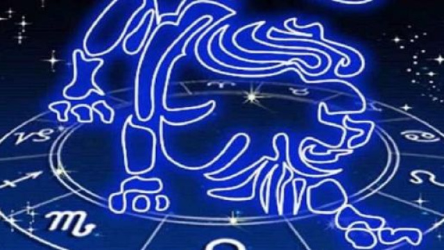 Oroscopo del Leone nella settimana che va dal 17 al 23 febbraio.
