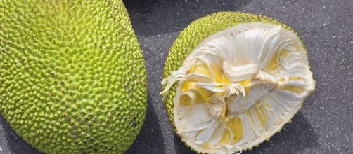 Jackfruit, una fruta que puede pesar 40 kilos