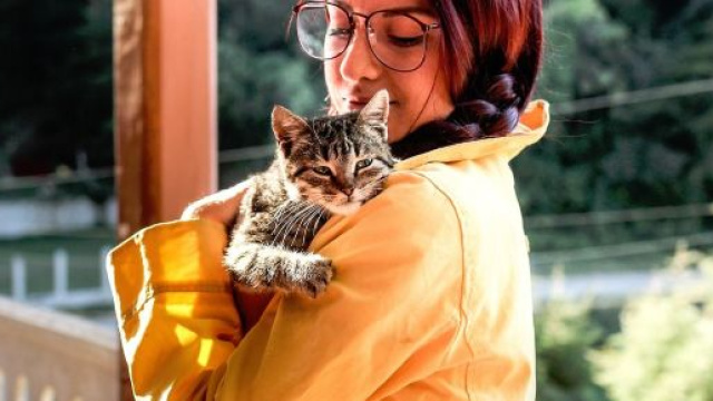 25% des français aimeraient passer la saint valentin avec leur chat