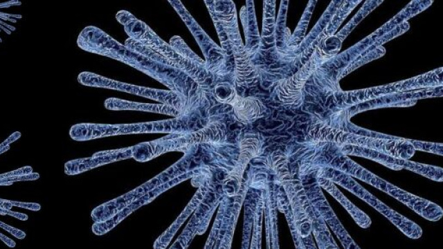 Il coronavirus arriva anche in Friuli-Venezia Giulia, ma il "paziente zero" è già stato isolato e non versa in gravi condizioni.