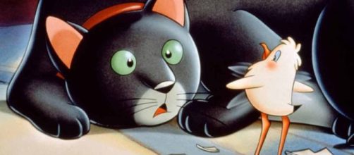 5 film per celebrare la Festa del gatto: tra questi 'La gabbianella e il gatto'