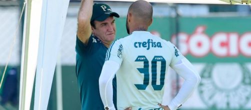 Elenco do Palmeiras não está completo para enfrentar a competição regional e time busca principalmente um atacante. (Arquivo Blasting News).
