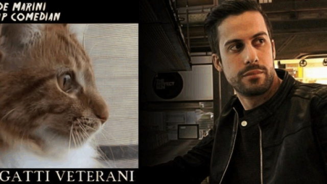 9 video di 'Gatti Veterani', la raccolta completa del comico Davide Marini