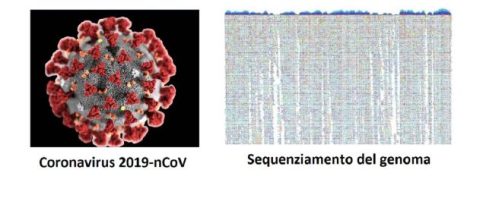 Dopo la Cina, con il propagarsi dell’infezione del coronavirus 2019-nCoV, anche altri Paesi stanno sequenziando il genoma del virus.