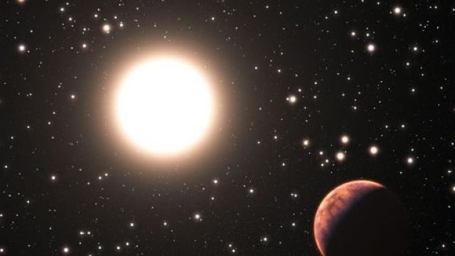 L'Oroscopo settimanale al 16 febbraio: Toro in fibrillazione, il Capricorno deve osare