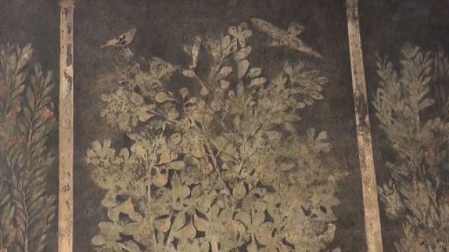 Pompei, dopo 40 anni riaprono tre domus.