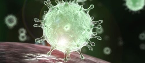 Coronavirus, peggiora il bilancio in Italia: 219 i contagiati, cinque i morti.