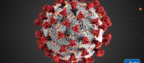 Coronavirus - Centers for Disease Control and Prevention (CDC)