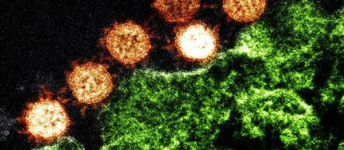 Coronavirus, l'epidemiogolo Ciccozzi spiega che il virus potrebbe subire una mutazione.