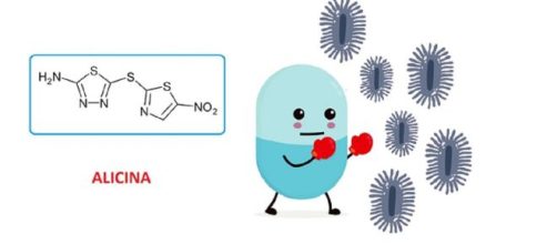 Grazie ad algoritmi e intelligenza artificiale, un antidiabetico (alicina) è stato individuato come potente antibiotico di nuova generazione.