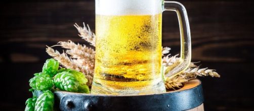 La cerveza, consumida de forma responsable, aporta múltiples beneficios a la salud
