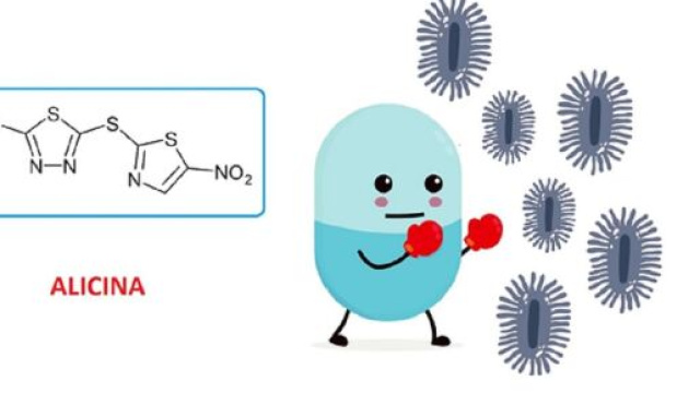 Grazie ad algoritmi e intelligenza artificiale, un antidiabetico (alicina) &egrave; stato individuato come potente antibiotico di nuova generazione.