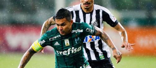 Santos x Palmeiras duelam neste sábado (29). (Arquivo Blasing News)