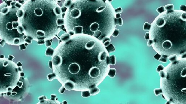 Coronavirus: la Serie A rinvia i match, ma in B si gioca anche nelle regioni colpite.