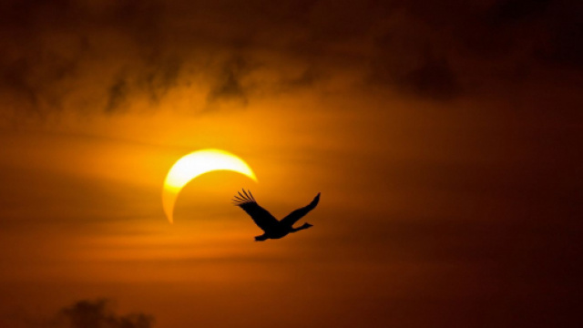 Oroscopo del giorno 12 febbraio 2020 | Astrologia, classifica e previsioni: la Luna entra in Bilancia
