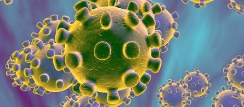 Evolución de coronavirus y el impacto que tiene