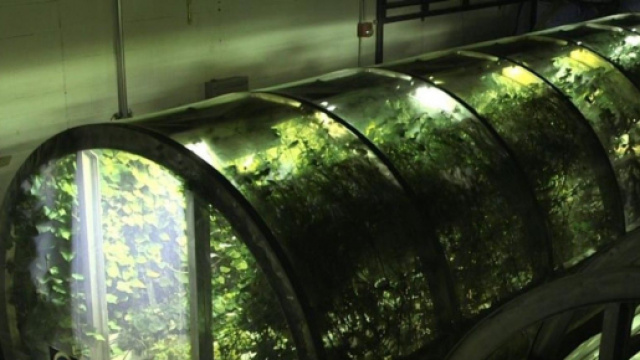 Ecco il primo prototipo di serra che invieremo su Marte - VICE - vice.com