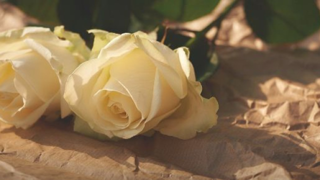 L'oroscopo dell'amore di coppia dell'8 febbraio: Cancro stanco, Sagittario frettoloso