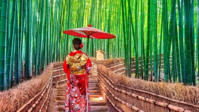 PIL del Giappone: bene, non benissimo | Trend Online - trend-online.com