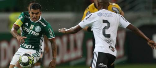 Ponte e Palmeiras duelam em Campinas. (Arquivo Blasting News).