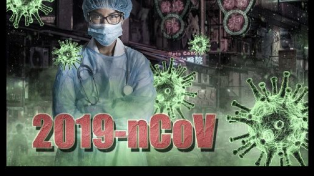 Coronavirus: spunta il vero animale che potrebbe averlo trasmesso all'uomo.