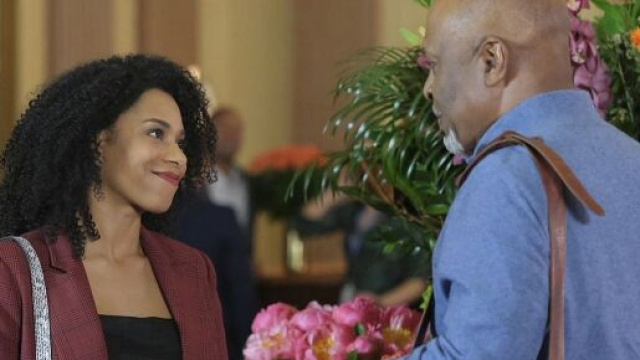 Nel diciannovesimo episodio di Grey's Anatomy, Maggie Pierce avrà modo di incontrare un vecchio collega.