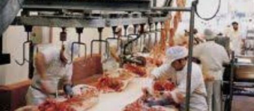 Carpi: operaio muore all'Opas, incastrato nel macchinario per la lavorazione delle carni.