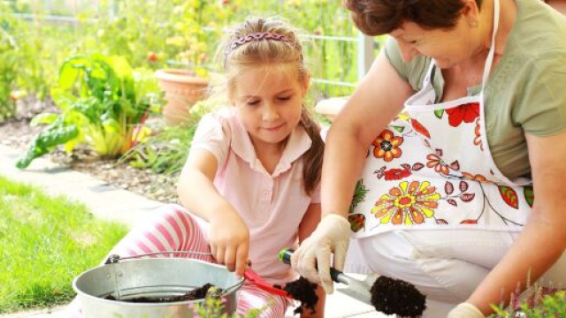 Giardinaggio e altri hobby da fare quando si resta a casa
