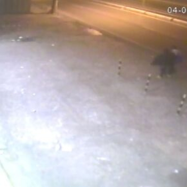 Imagens de câmeras de segurança ajudaram na identificação do suspeito. (Reprodução/ Polícia Civil)