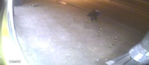 Imagens de câmeras de segurança ajudaram na identificação do suspeito. (Reprodução/ Polícia Civil)