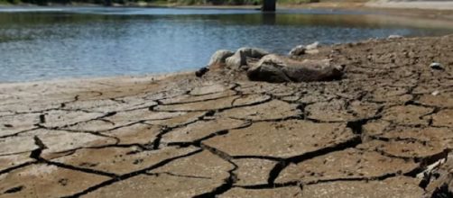 Drought in North Island, New Zealand while a cyclone threatens the South. [Image source/ nzherald.co.nz YouTube video]