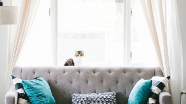 Coronavirus, cosa fare a casa ora che abbiamo recuperato del tempo prezioso.