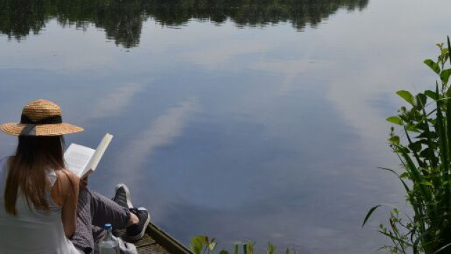 Oroscopo 17 marzo: Vergine sogna l'amore, Acquario romantico